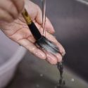 Caring for and Cleaning Brushes